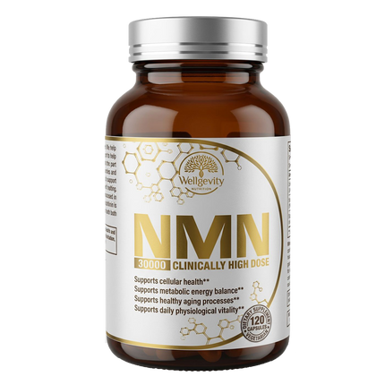 Wellgevity NUTRITION NMN