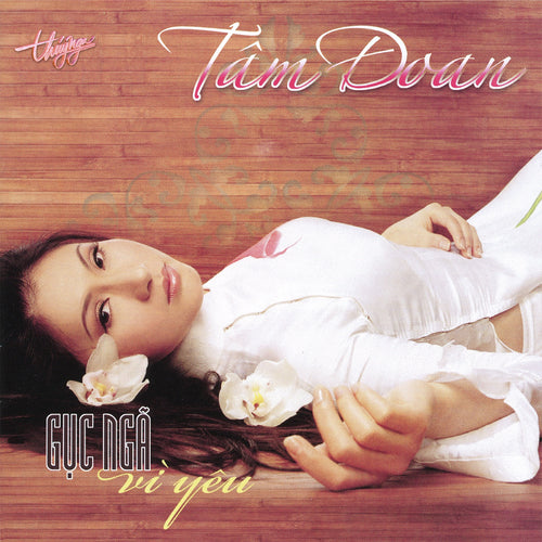 TNCD377 cover